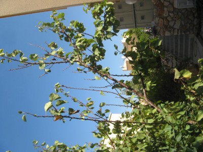 IMG_7059.JPG