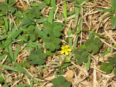 image002.jpg