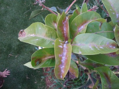 2011-05-23 18.34.26.jpg