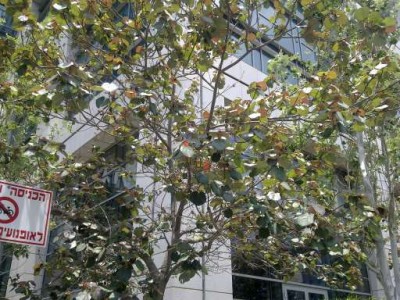 28062011002s.jpg