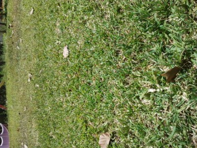 2011-07-01 11.41.13.jpg