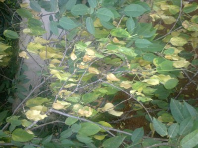 19082011047s.jpg