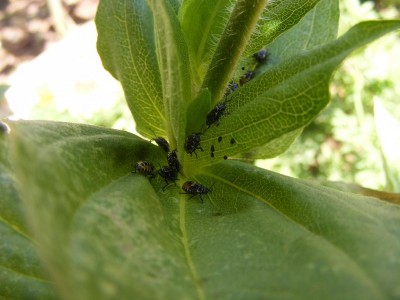 DSCF9155.JPG