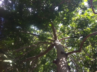 photo 3.JPG