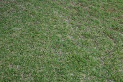 DSC_6644.JPG