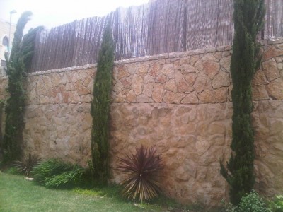 IMG01196-20120501-1347.jpg