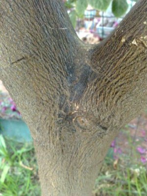11052012782.jpg