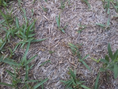 20120612_184938.jpg