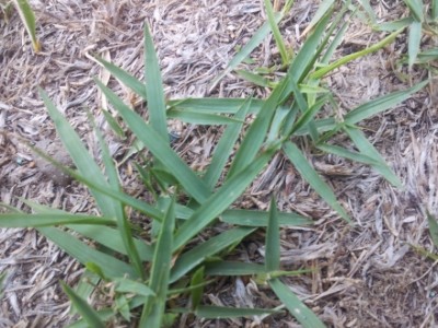 20120612_185008.jpg