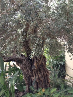תמונה4.jpg