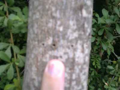 250720122391.jpg