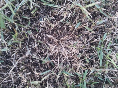 20121008_153349.jpg