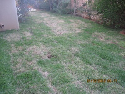 IMG_6516M.jpg