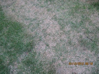 IMG_6517M.jpg