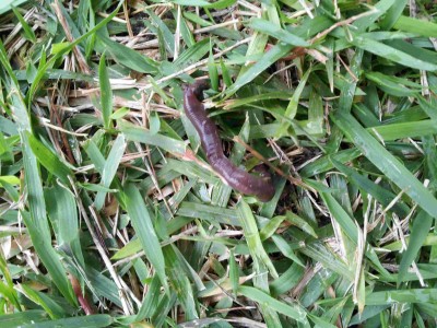 20121205_122852.jpg