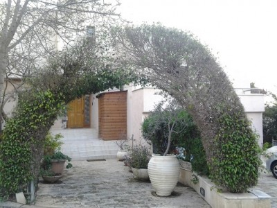 phikus_gate_resize_3.jpg