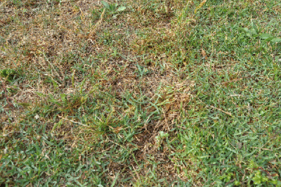 DSC_0089.gif