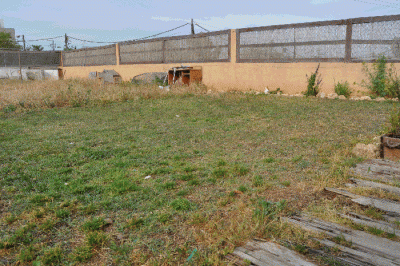 DSC_0092.gif