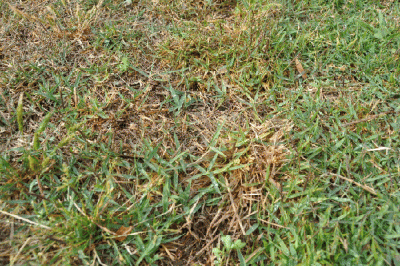 DSC_0090.gif