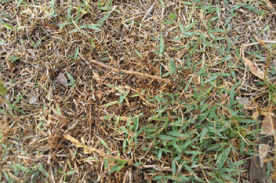 DSC_0094.gif