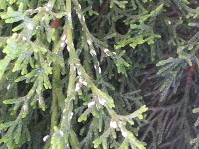 20130406_091500_2.jpg