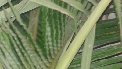 20130601_194423.jpg