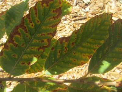 IMG_3470 מוקטן.jpg