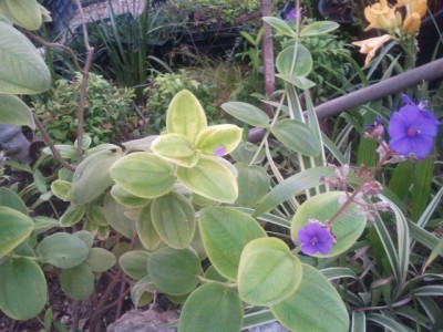 2013-07-09 19.49.21.jpg