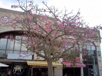 IMG103.jpg