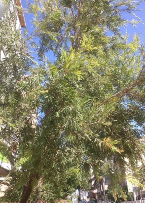 IMG048 copy 2.jpg