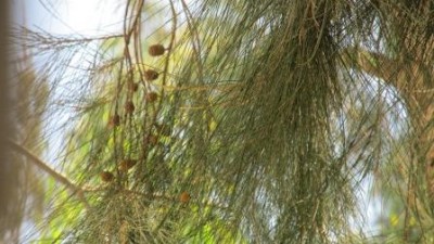 IMG_1097.JPG