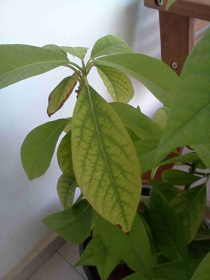 IMG1945.jpg