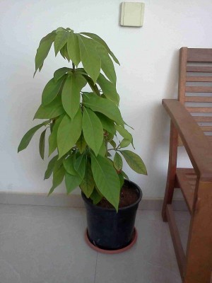 IMG1946.jpg