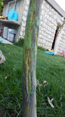 20140601_181223_resize_20140601_214231.jpg