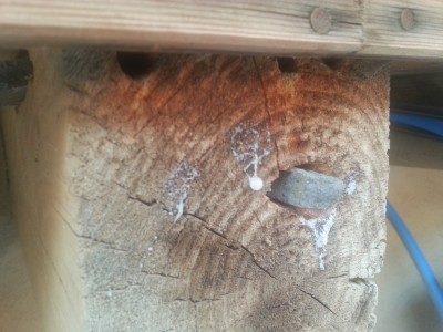 roof_wood_front.jpg