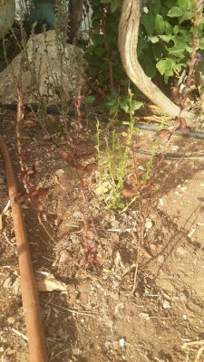 20140830_165814.jpg