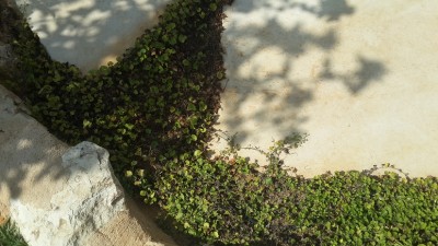 20140905_102843.jpg