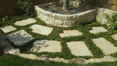 20140905_102835.jpg