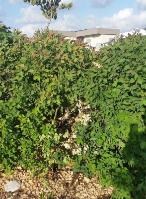 20140926_171437_resized.jpg