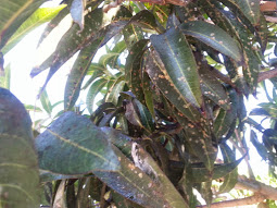 20141006_091544.jpg