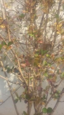 20150125_151310.jpg