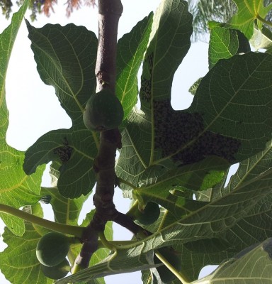 20150608_170248.jpg