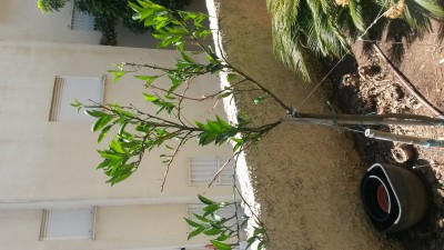 20150809_120943.jpg
