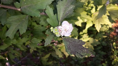 20150824_072047.jpg