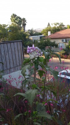 20150824_072123.jpg