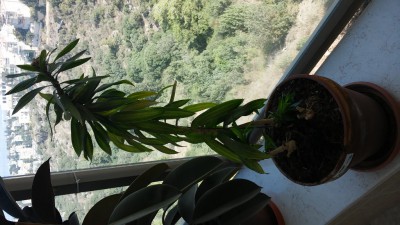 20151005_130453 (576x1024).jpg