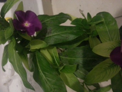 20160805_014940.jpg