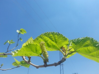 20160810_124148.jpg