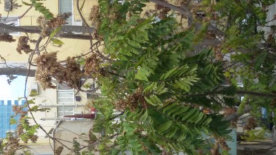 20161211_092527.jpg