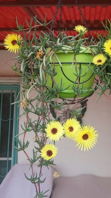 20170124_152317-1.jpg